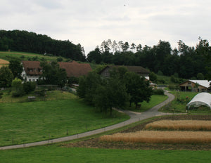 LägereBräu damals im Herterenhof in Wettingen